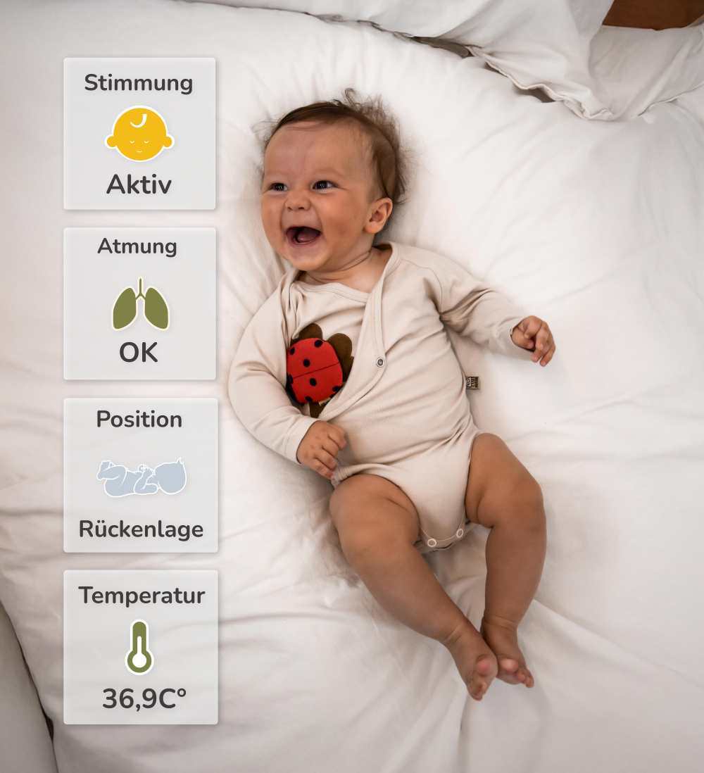 MARY by sticklett MOON, the smart ladybird - basic set
