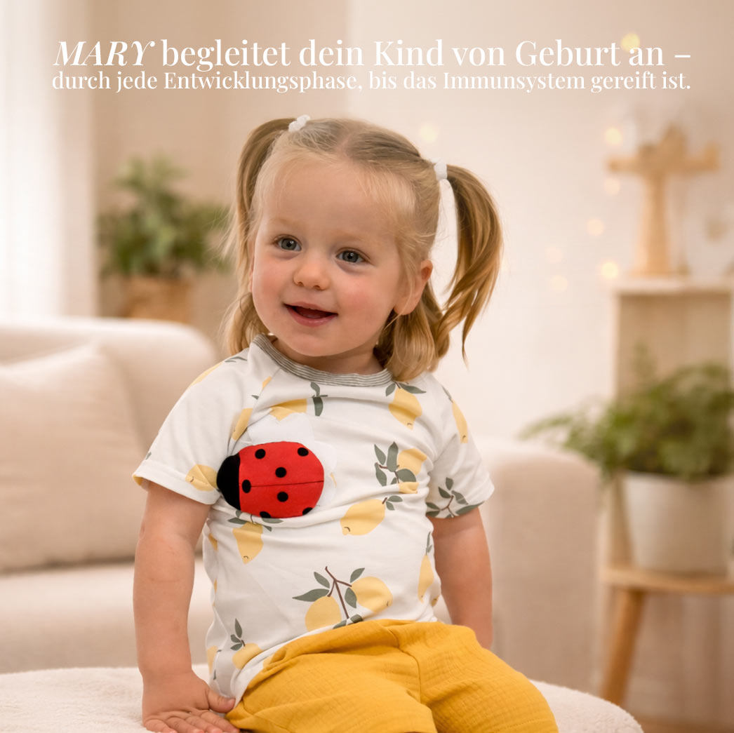 MARY by sticklett MOON, the smart ladybird - basic set